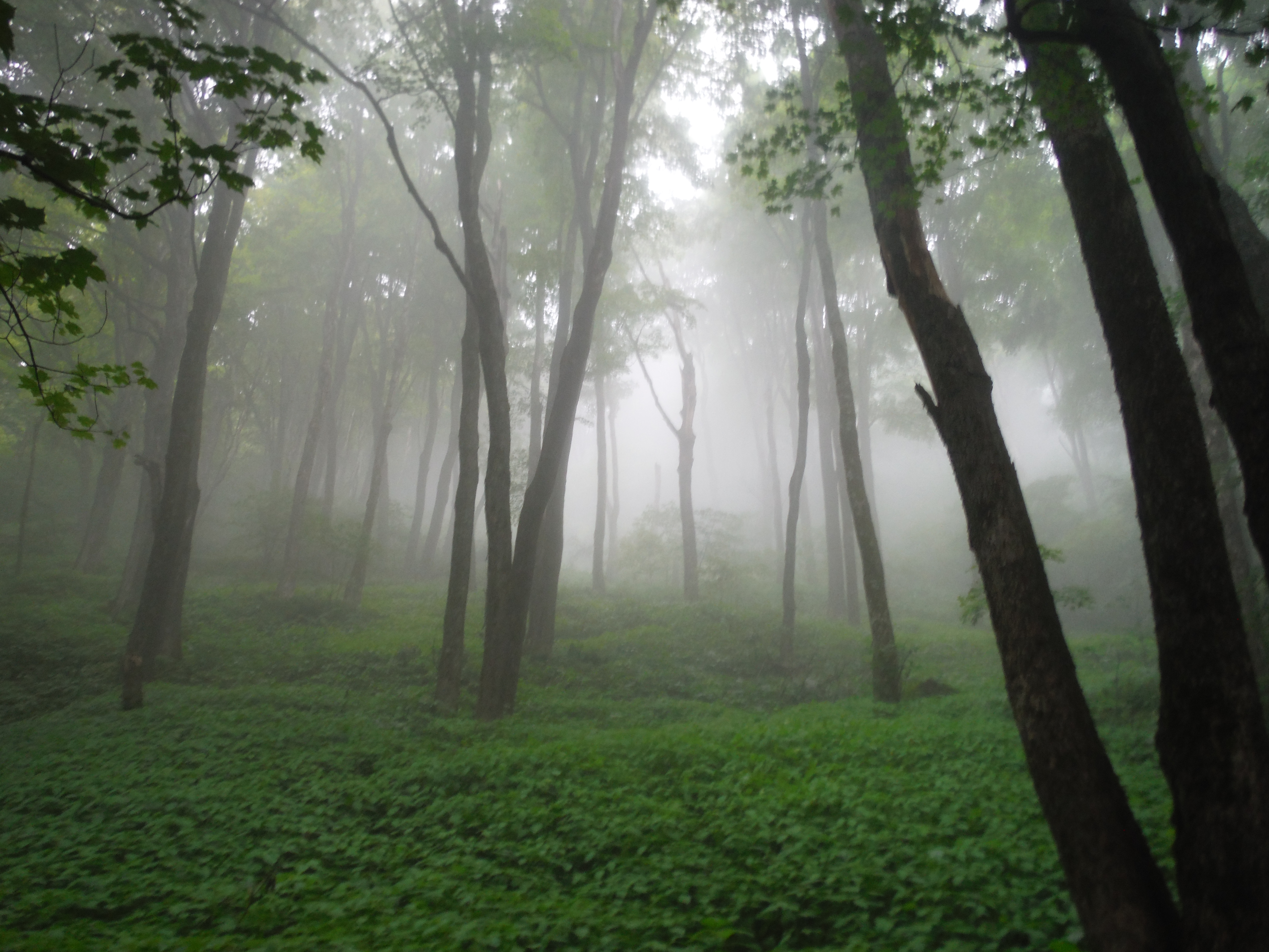 All-Inclusive Hiking Vacations Killington, VT - Appalachain Trail Adventure